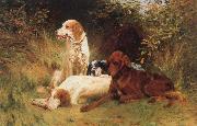 unknow artist Some Dogs oil painting picture wholesale
